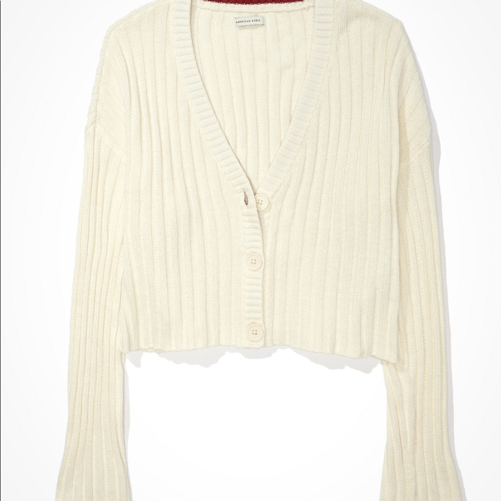 American Eagle Cropped Cardigan